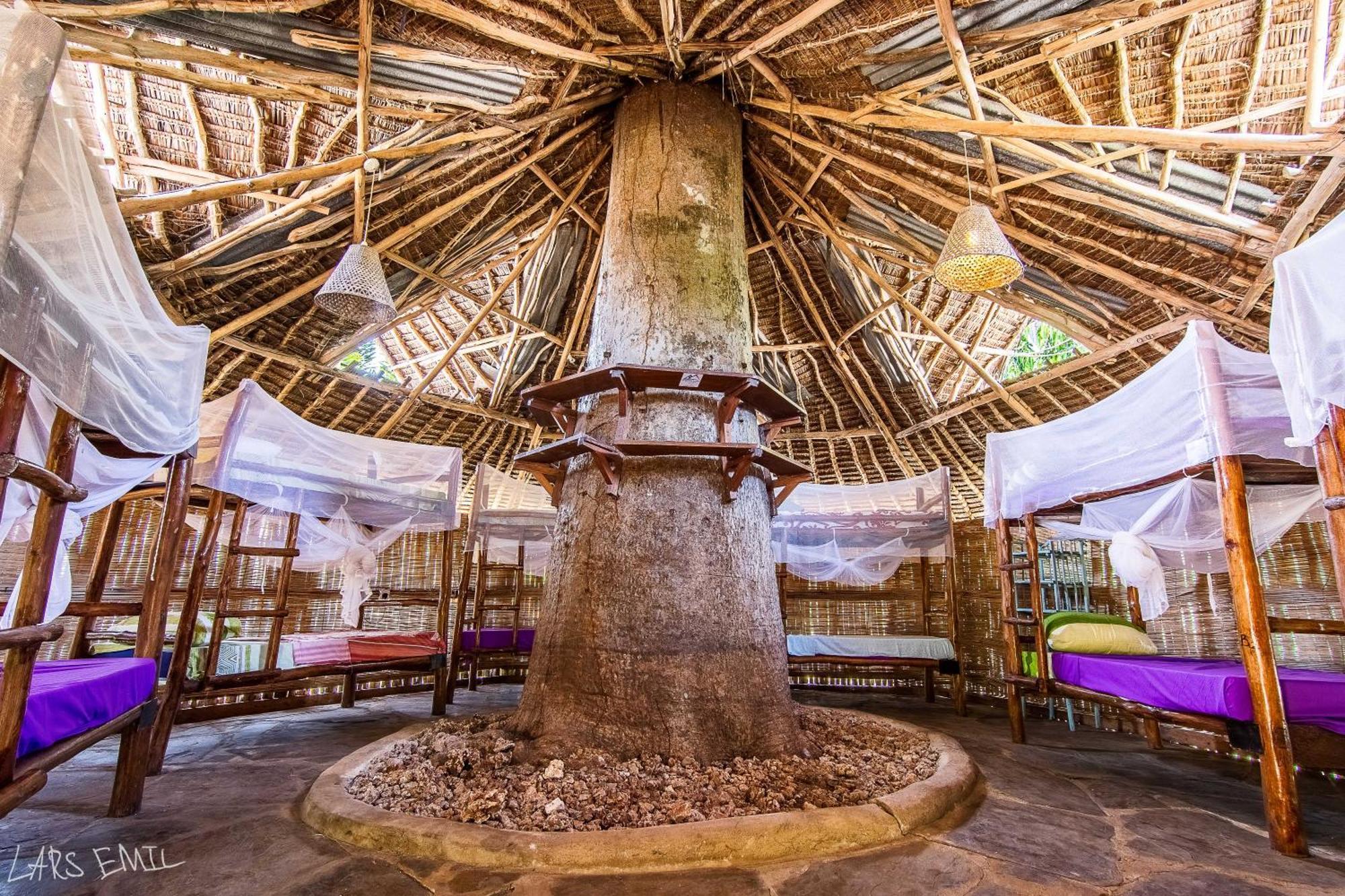 Hostel Diani Backpackers (adults Only)